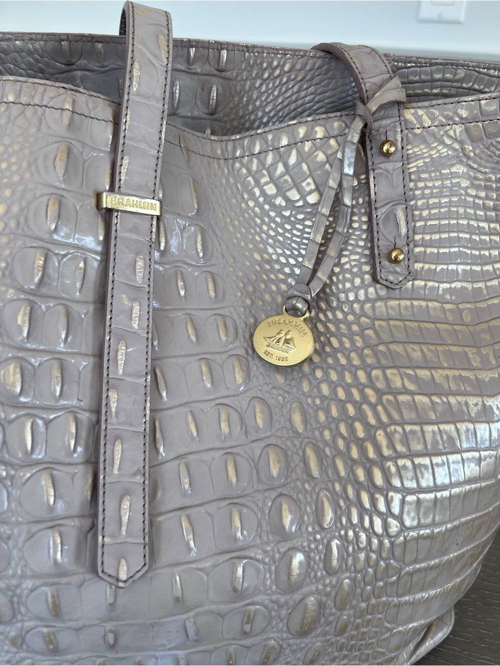Brahmin Croc-Embossed Tote in Light Taupe - Picture 2 of 15